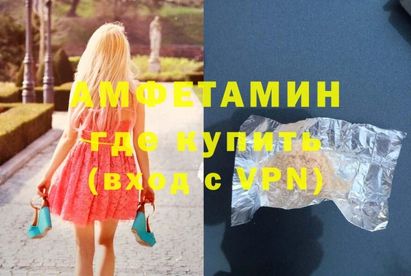 прущие грибы Алзамай