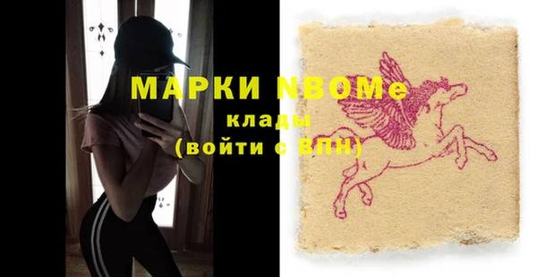 прущие грибы Алзамай