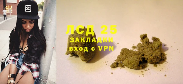 прущие грибы Алзамай