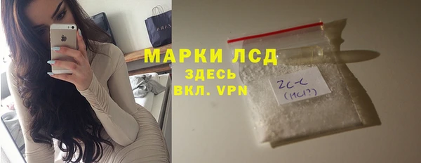 прущие грибы Алзамай