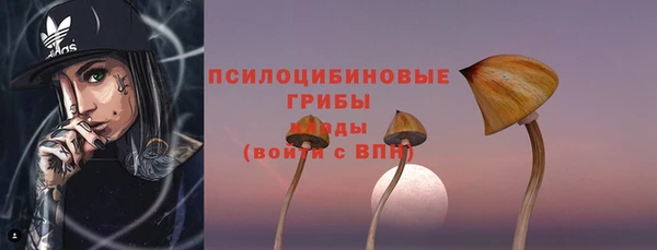 прущие грибы Алзамай