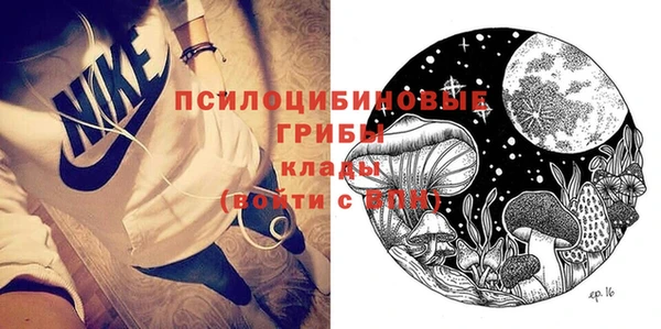 прущие грибы Алзамай