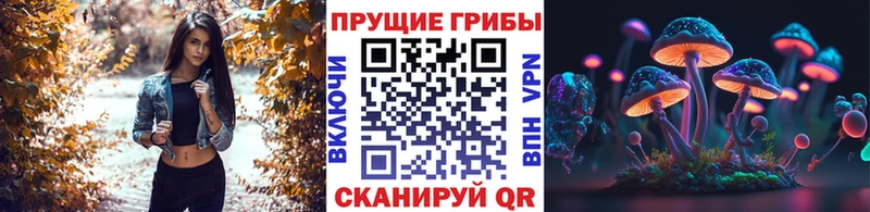 MEGA ссылка Чёрмоз Галлюциногенные грибы прущие грибы